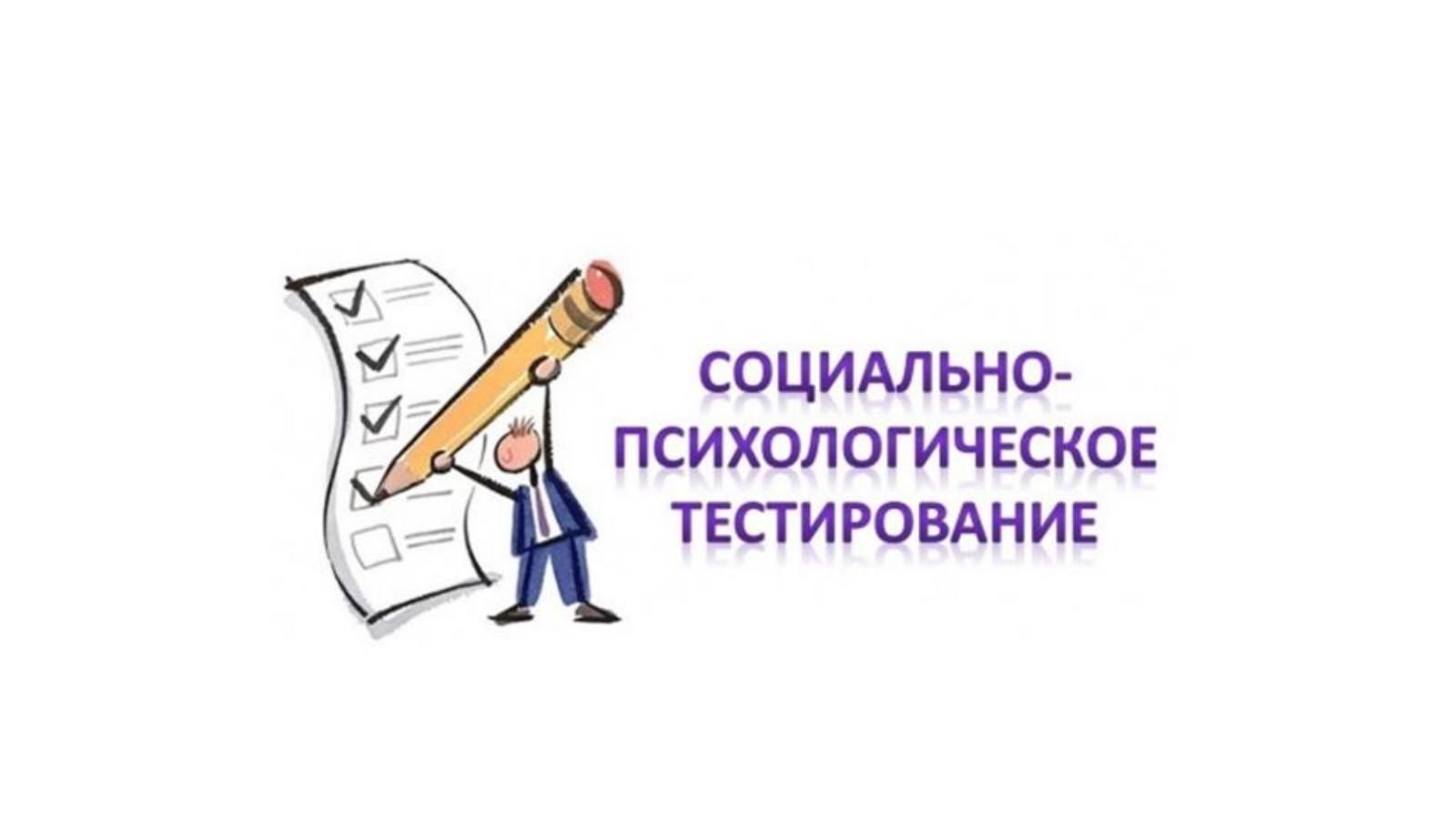 картинка СПТ